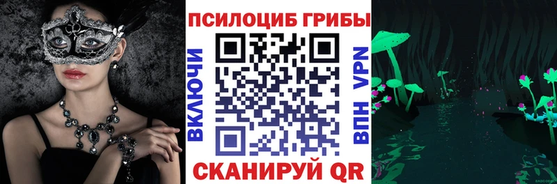 хочу наркоту  Электроугли  Галлюциногенные грибы прущие грибы 